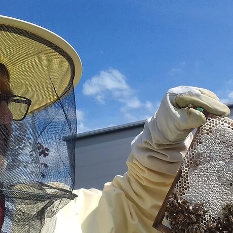 A pleno rendimiento en Pro de la calidad de los productos organicos: nuestras abejas